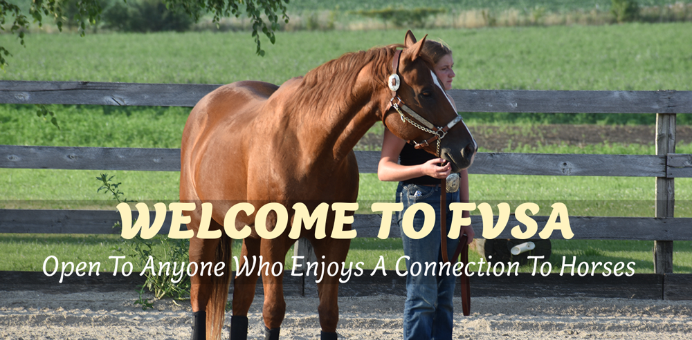 lady standing with horse in halter