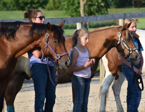 three riders standing with their horses at halter